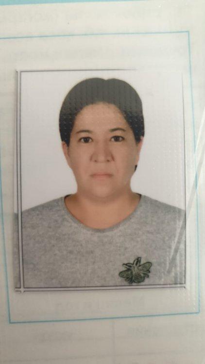 Профф Ориентатор